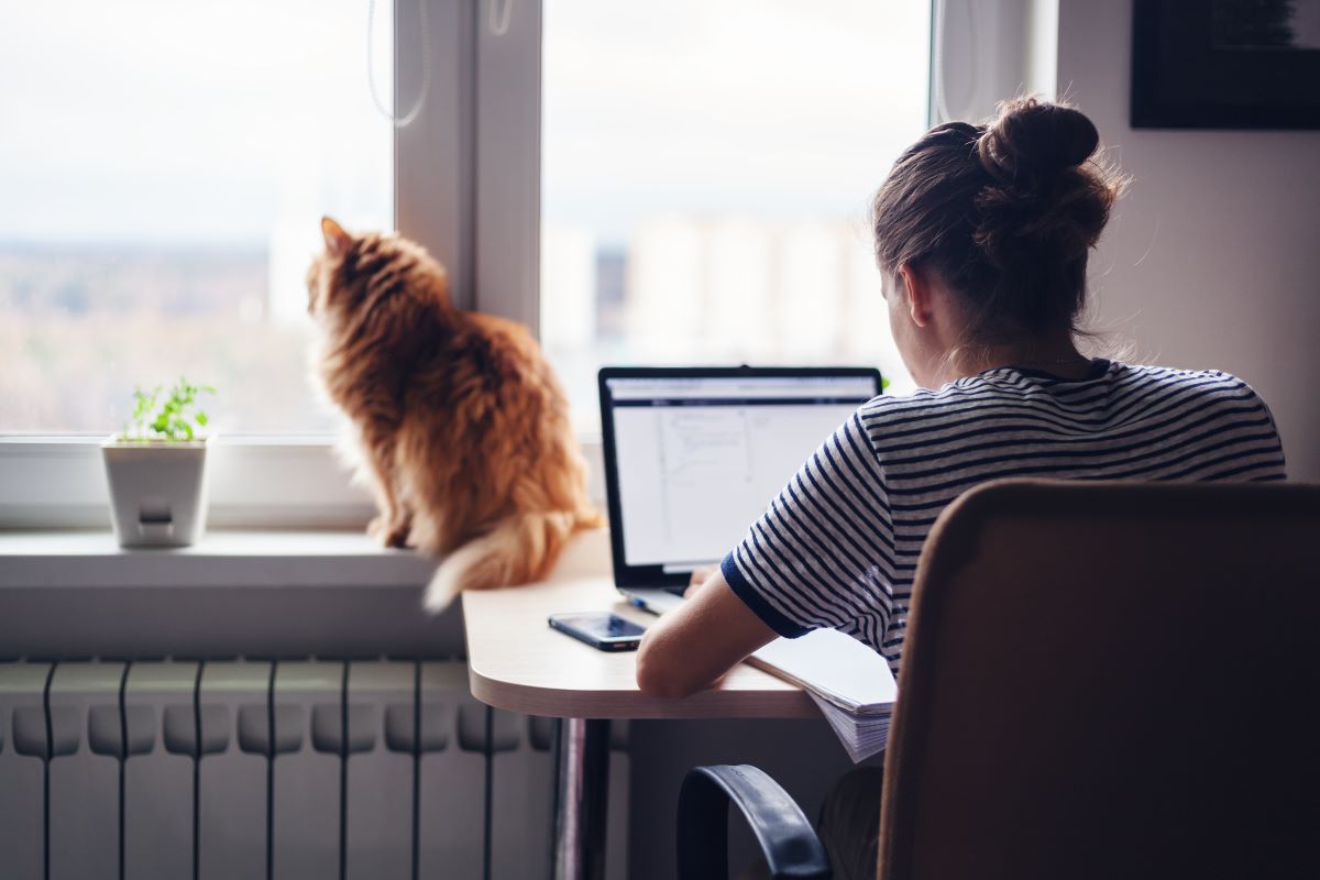 O que é trabalho assíncrono?| Fonte: Shutterstock
